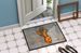 Crawfish From Arabi Doormat Front Door Mat Indoor Outdoor Rugs For Entryway, Non Slip Washable Low Pile, 24H X 36W_maomaolike.com