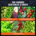 VEVOR RDWC Hydroponics System Recirculating Deep Water Culture 4 Buckets 5 Gal_maomaolike.com