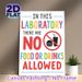 Lab No Food Or Drinks Themed Painting Poster, Vibrant Colorful Typographic & Warning Symbol Poster, Clear Rule Reminder Suitable For Laboratory_maomaolike.com