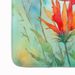 Wyoming Indian Paintbrush In Watercolor Memory Foam Kitchen Mat Machine Washable Anti-Fatigue Mat Cushion Comfort Bath Mat Or Kitchen Rug_maomaolike.com