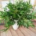 Leaf Vine Wedding Celebration Road Guide Arrangement Artificial Plant Silk Screen Cloth Bundle Willow Leaves_maomaolike.com