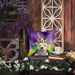 Pit Bull Terrier King Of Mardi Gras Throw Pillow Machine Washable, Indoor Outdoor Decorative Pillow For Couch, Bed Or Patio, 14Hx14W_maomaolike.com