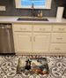 Cavalier Spaniel Fall Kitchen Pumpkins Memory Foam Kitchen Mat Machine Washable Anti-Fatigue Mat Cushion Comfort Bath Mat Or Kitchen Rug_maomaolike.com