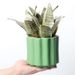 Nordic Style Ceramic Round Simple Artistic Personality With Tray Radish Bonsai Green Plant Flower Pot_maomaolike.com