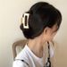 Unisex Hair clip Hair clip Hair clip headpiece back of head shark clip claw claw_maomaolike.com