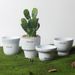 Nordic Style Cement Flower Pot Ceramic Human Face Fashion Simple Artistic Personality Indoor Large Green Radish Bonsai Top-sale_maomaolike.com