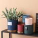 Beijia Luxury Nordic Style Cylindrical Flower Pot Indoor Plant Planter For Green Radish And Cactus With Gold Trays_maomaolike.com