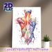 Human Back Muscle Anatomy Painting Poster, Vibrant Watercolor Splatter Style Poster, Informative Anatomical Art Ideal For Medical Clinic, Therapy_maomaolike.com