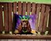 Cocker Spaniel King Of Mardi Gras Throw Pillow Machine Washable, Indoor Outdoor Decorative Pillow For Couch, Bed Or Patio, 14Hx14W_maomaolike.com