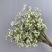 Fresh And Simple Manufacturer Gypsophila Wholesale Artificial Fake Export Flower Arrangement Home Decoration Wedding_maomaolike.com