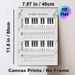 Piano Notes Painting Poster, Color-coded Piano Keys & Staff Chart Poster, Practical Guide For Learning Music Notes, Ideal For Music Studio, Practice_maomaolike.com