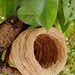 Straw Woven Nest For Lovebirds, Budgerigars, And Finches, Pearl Grass Small Nest, Breeding Box, Winter Warm Bird Cage_maomaolike.com